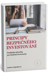 Principy bezpečného investování - ebook