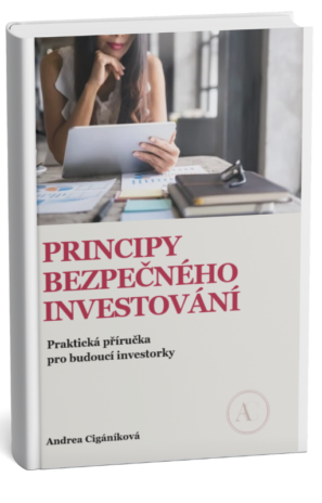 Principy bezpečného investování - ebook